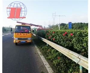 贵州绿化修剪车